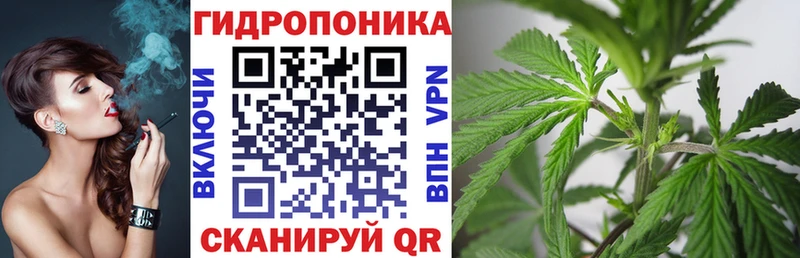 Каннабис White Widow  Нестеров 